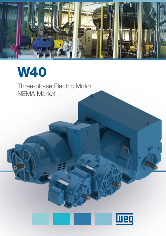W40 Open Drip Proof Motor